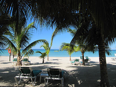 Charela Beach Magestic palms line Charela's beach and offer a cool place to chill out and watch the world go by. Lounges and beach towels provided. - Charela Inn - Negril Resorts and Hotels, Jamaica