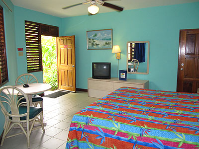 Coco Deluxe Room - Coco La Palm Deluxe Room - Negril, Jamaica Resorts and Hotels