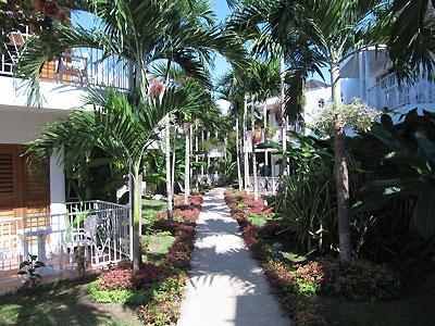 Grounds - Negril Palms, Negril Jamaica Resorts and Hotels