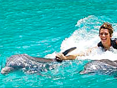 Dolphin Cove Negril Ultimate Swim Royal Swim with Dolphins