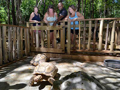 JamWest Adventure Park Safari Tour.JPG Rock Safari Tour -Feed your wild side