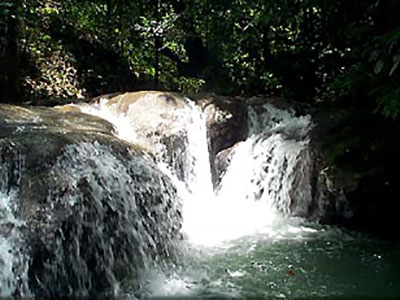 Mayfield Falls Waterfall