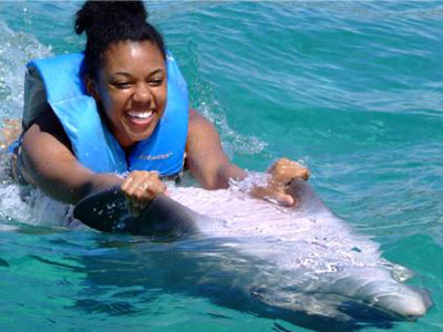 Swim Dolphin Swim Adventure