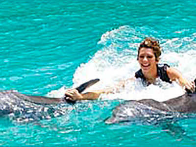 Ultimate Dolphin Royal Swim