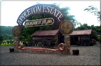 appletonsign