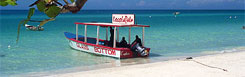 beach1_main Specials