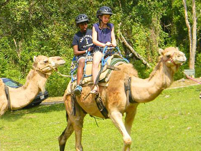 prospectestate_camelride Yaaman All-Inclusive