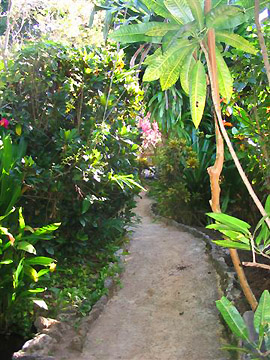 Entrance and Garden Entrance and Garden - Bananas Garden Negril Jamaica Resorts and Hotels