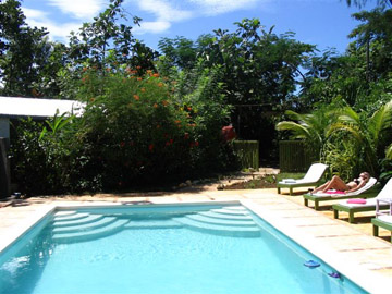 Banana's Garden Pool - Bananas Garden Pool Negril Jamaica Resorts and Hotels