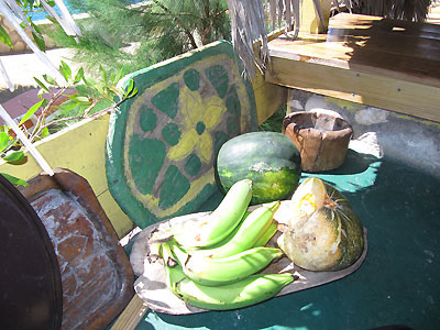 Dolphin Bar - Drinks + home style meals freshly cooked specially for the guest Dolphin Bar - Drinks + home style meals freshly cooked specially for the guest - Banana Shout Dolphin Bar, Negril, Jamaica Resorts and Hotels