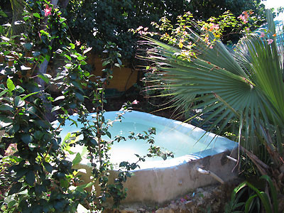 Cool Off Pool and grounds - Banana Shout, Negril, Jamaica Resorts and Hotels