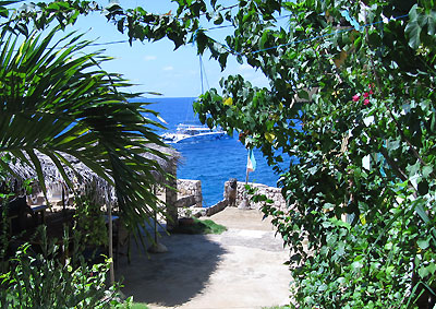 Cool Off Pool and grounds - Banana Shout, Negril, Jamaica Resorts and Hotels