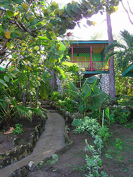 Cottage # 4 Tree House - Banana Shout Tree House, Negril, Jamaica Resorts and Hotels