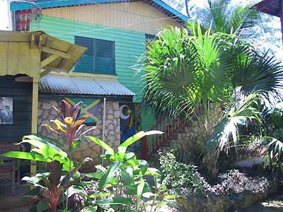 Cottage # 4 Tree House - Banana Shout Tree House, Negril, Jamaica Resorts and Hotels