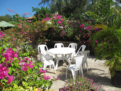 Catcha Gardens Catcha Gardens -