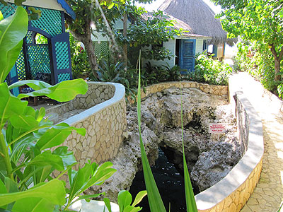 One Bedroom Ocean View Suites - The Caves Bird's Nest Bath - Negril, Jamaica Resorts and Hotels