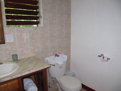 Jr. Suites (9) - Catcha Falling Star Gardens, Negril Jamaica Resorts and Hotels