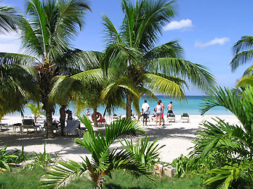 Charela Beach Magestic palms line Charela's beach and offer a cool place to chill out and watch the world go by. Lounges and beach towels provided. - Charela Inn Beach - Negril Resorts and Hotels, Jamaica