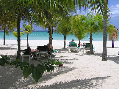 Charela Beach Magestic palms line Charela's beach and offer a cool place to chill out and watch the world go by. Lounges and beach towels provided. - Charela Inn Beach - Negril Resorts and Hotels, Jamaica