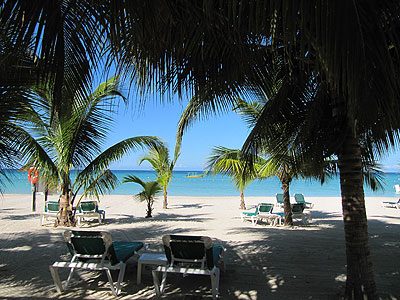 Charela Beach Magestic palms line Charela's beach and offer a cool place to chill out and watch the world go by. Lounges and beach towels provided. Charela Beach Magestic palms line Charela's beach and offer a cool place to chill out and watch the world go by. Lounges and beach towels provided. - Charela Inn - Negril Resorts and Hotels, Jamaica