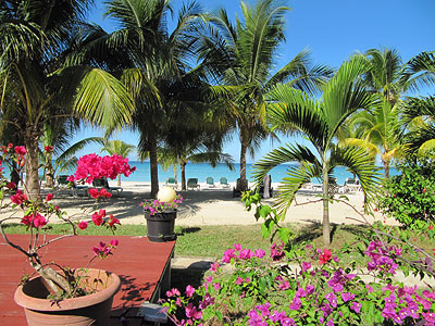 Exterior and Grounds - Charela Inn - Negril Resorts and Hotels, Jamaica