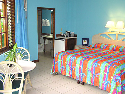 Coco Deluxe Room - Coco La Palm Deluxe Room - Negril, Jamaica Resorts and Hotels