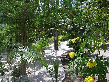 Entrance and Grounds - Hide Awhile Grounds, Negril Jamaica Resorts Hotels and Villas