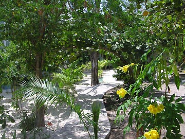 Entrance and Grounds Entrance and Grounds - Hide Awhile Grounds, Negril Jamaica Resorts Hotels and Villas