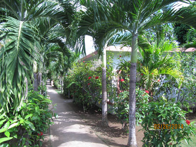 Entrance and Grounds - Hidden Paradise Pool - Negril, Jamaica Resorts and Hotels