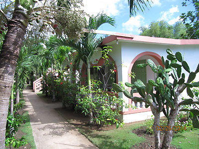 Entrance and Grounds - Hidden Paradise Pool - Negril, Jamaica Resorts and Hotels