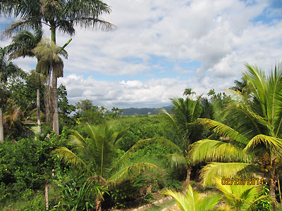 The Pool, Restaurant and Jacuzzi - Hidden Paradise Pool View to Morass - Negril, Jamaica Resorts and Hotels