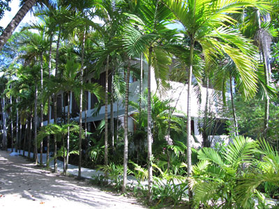 (4) One Bedroom Suites (4) One Bedroom Suites - Idle Awhile Resort 1 Bedroom Suite - Negril, Jamaica Resorts and Hotels