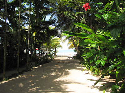 Deluxe Rooms (4 Garden & 4 Beach View) Deluxe Rooms (4 Garden & 4 Beach View) - Idle Awhile Resort - Negril, Jamaica Resorts and Hotels