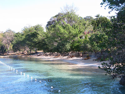 Rhodes Hall Private Beach and Snorkeling - Rhodes Hall Resort Beach, Negril Jamaica Resorts and Hotels