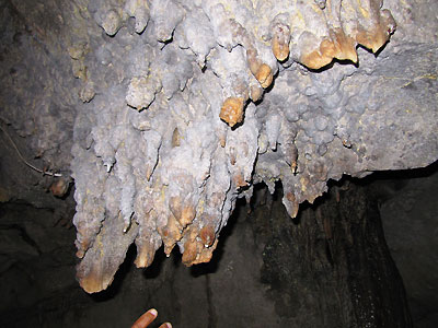 Off Site Arawak Cave - Ask At Resort Off Site Arawak Cave - Ask At Resort - Rhodes Hall Resort Arawak Cave, Negril Jamaica Resorts and Hotels