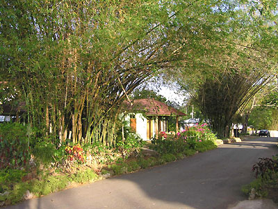 Honeydew Building - Rhodes Hall Resort Honeydew Building, Negril Jamaica Resorts and Hotels