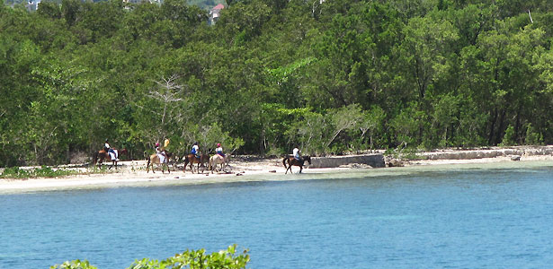 Horseback Riding - Rhodes Hall Resort horseback riding, Negril Jamaica Resorts and Hotels