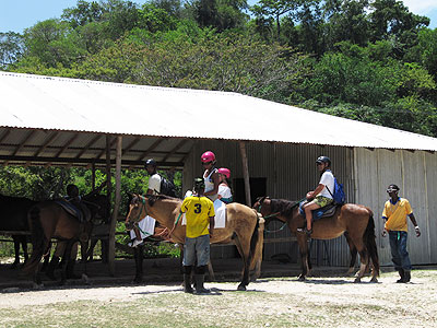 Horseback Riding - Rhodes Hall Resort-horseback riding, Negril Jamaica Resorts and Hotels