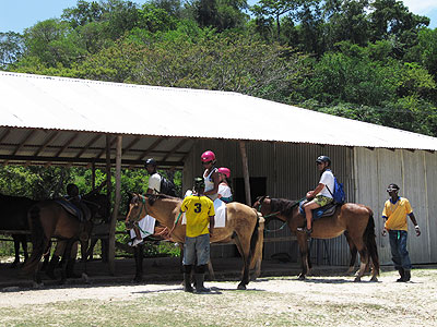 Horseback Riding Horseback Riding - Rhodes Hall Resort-horseback riding, Negril Jamaica Resorts and Hotels