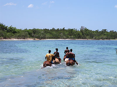 Horseback Riding - Rhodes Hall Resort horseback riding, Negril Jamaica Resorts and Hotels