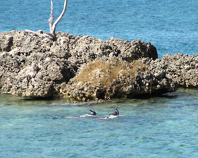 Rhodes Hall Private Beach and Snorkeling Rhodes Hall Private Beach and Snorkeling - Rhodes Hall Resort Snorkeling, Negril Jamaica Resorts and Hotels