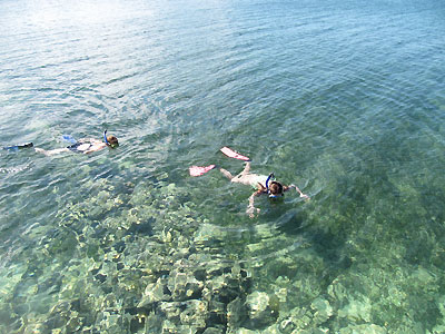 Rhodes Hall Private Beach and Snorkeling - Rhodes Hall Resort Snorkeling, Negril Jamaica Resorts and Hotels