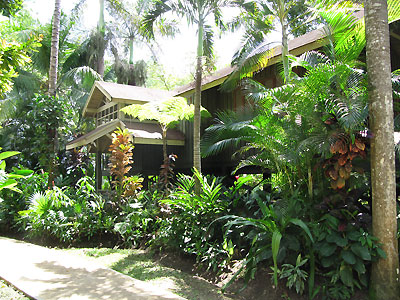 Entrance and Grounds - Sunset At The Palms Grounds, Negril Jamaica Resorts and Hotels