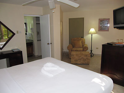 Junior Suite - Sea Splash Jr. Suite- Negril, Jamaica Resorts and Hotels