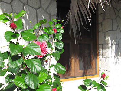 Sea Side Cottages (7) - The Spa Retreat Boutique Resort & Spa- Negril, Jamaica Resorts and Hotels