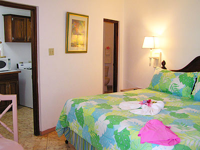 Kitchenette Rooms Kitchenette Rooms - Tree House Kitchenette - Negril Jamaica Resorts and Hotels