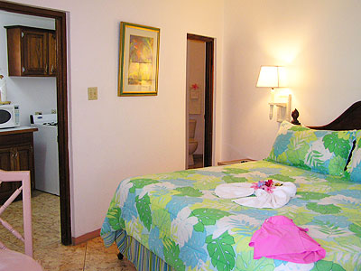 Kitchenette Rooms - Tree House Kitchenette - Negril Jamaica Resorts and Hotels