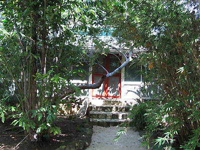 Sea Grape Cottage Sea Grape Cottage - Tingalayas Retreat - Negril, Jamaica resorts, villas, cottages and hotels