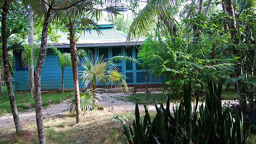 Sea Grape Cottage Sea Grape Cottage - Tingalayas Retreat - Negril, Jamaica resorts, villas, cottages and hotels