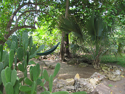 The Sea Side The Sea Side - Tingalayas Retreat - Negril, Jamaica resorts, villas, cottages and hotels